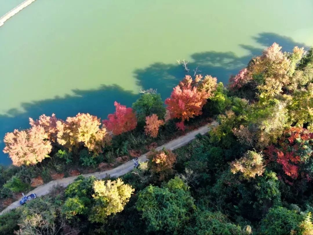 小坑水库坐落在小坑国家森林公园之中,深秋时节,满山枫叶红透,一点一