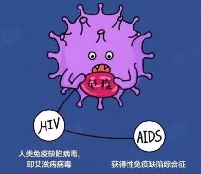 它是由艾滋病病毒(hiv)引起的一种目前尚无预防疫苗,又无有效治愈