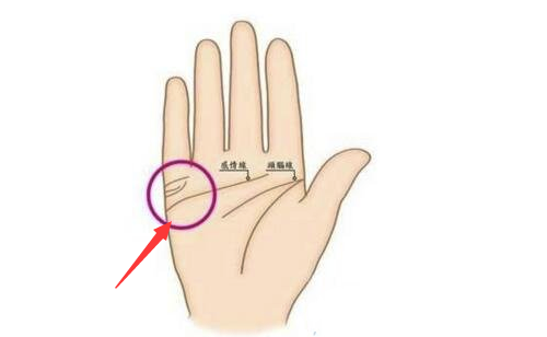手掌的感情线位于感情线的上方,小指的下方,伸出的一条或是多条纹路.