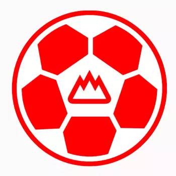队徽变更  1994-1995赛季泰山队队徽