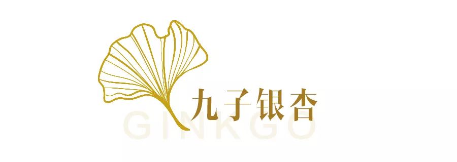 九子银杏已经有1000多年的树龄,因九根枝干连在一起,被誉为"九子连株"