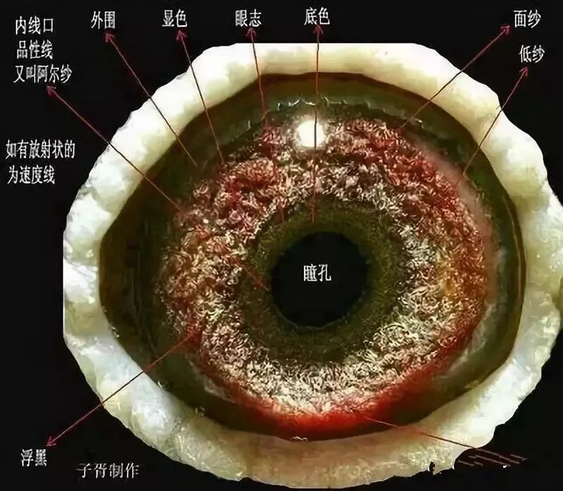 最好的是砂眼配黄眼