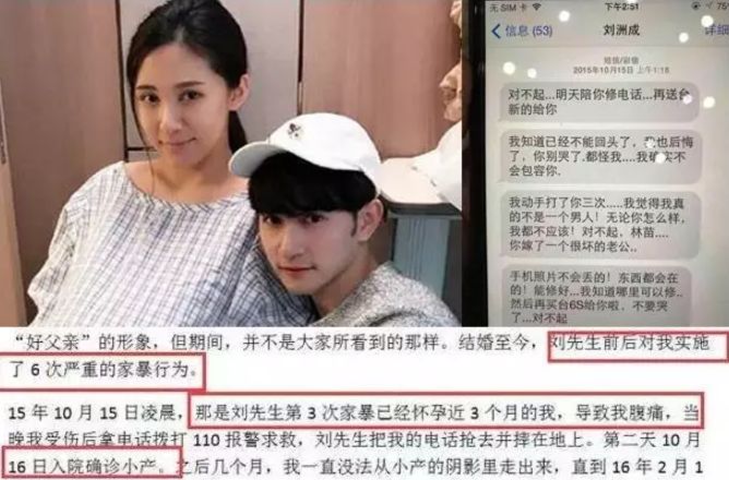 刘洲成6次家暴妻子,致其流产