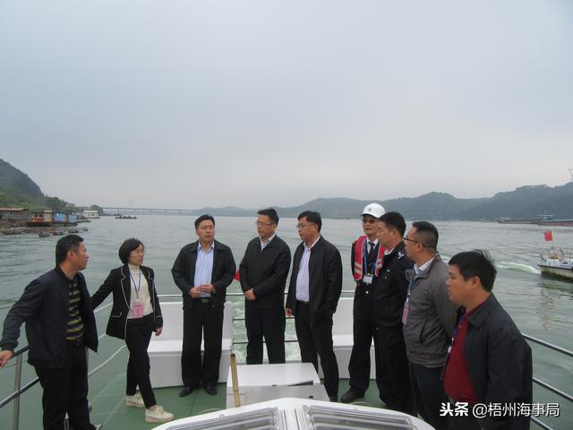 梧州市副市长黄恩乘海巡船检查养殖网箱整治情况