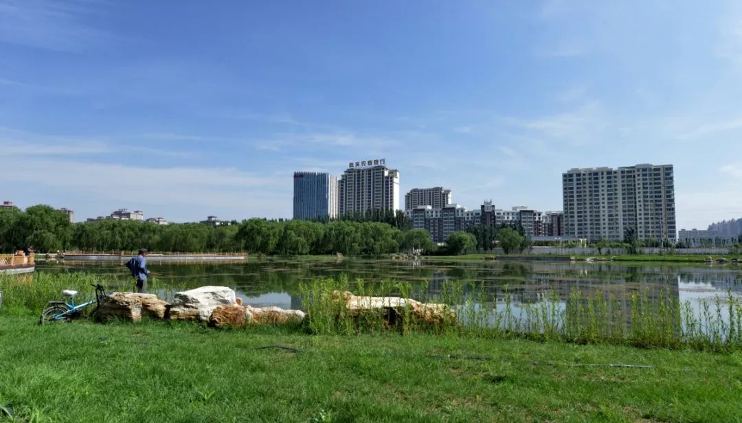 包头常住人口_天津 济南 贵阳 大连 包头城市社区人口数