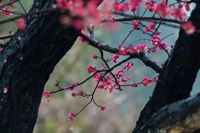 过去说度日如年,如今却是度年如日