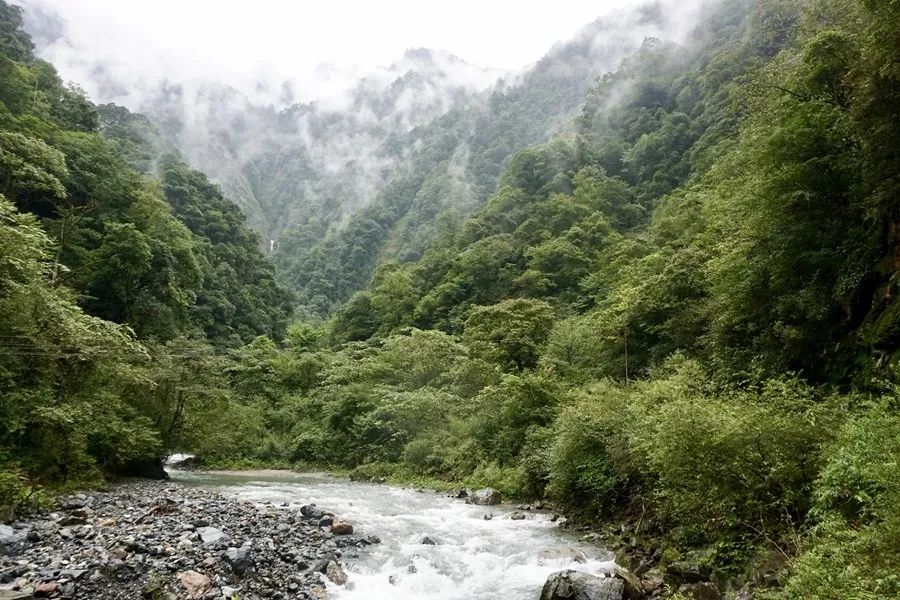 芦山大川河旅游景区创建国家4a级旅游景区通过市检