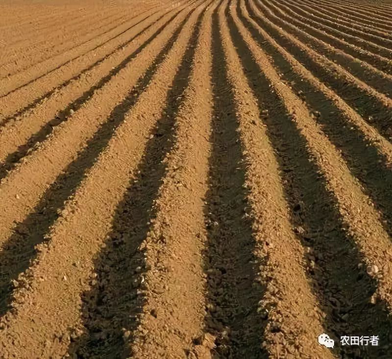 一般土壤颜色比较深的都是肥土,颜色较浅的则为瘦土.