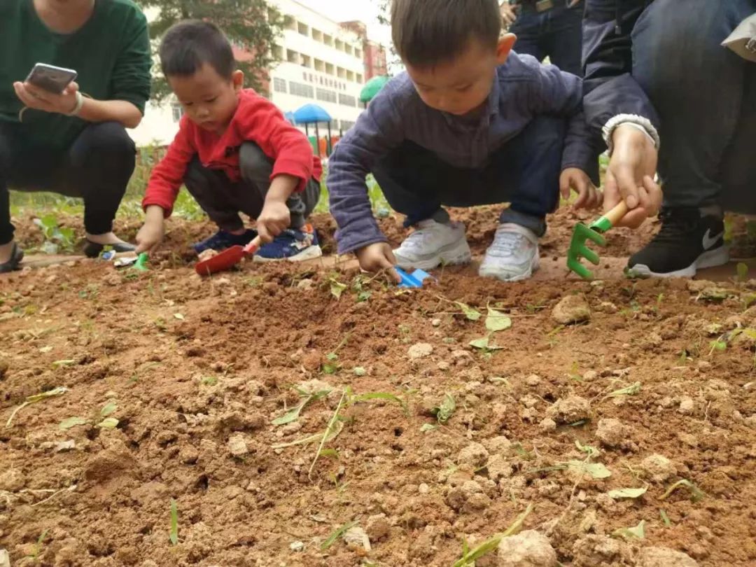 种子种完了可不能忘了浇水哟.