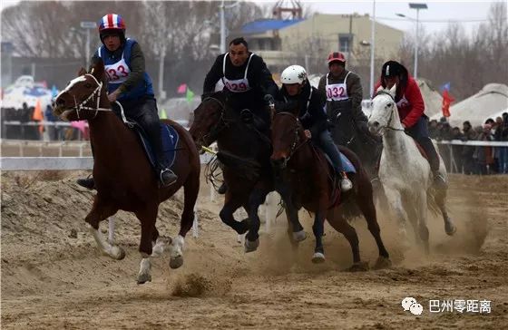 巴州米乐·M6下载首届赛骆驼大赛在和硕县举行(图4)