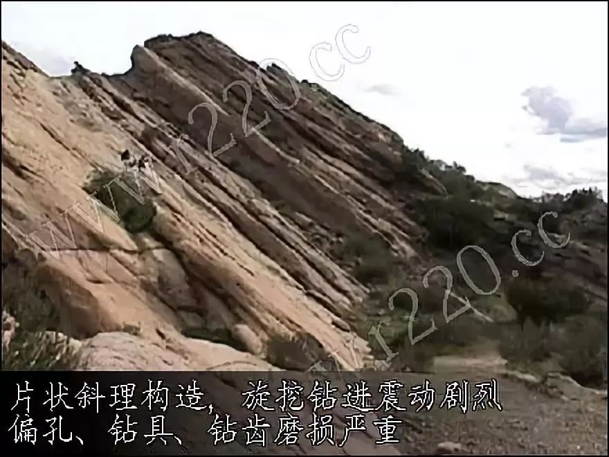 广州有旋挖机培训学校插图7