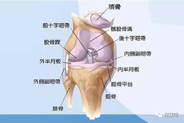 保健|静蹲是预防膝盖伤病的良药