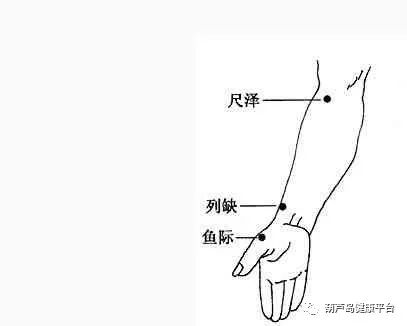 咳嗽不止,气喘,都可以按摩或者艾灸尺泽穴 13,皮肤穴——曲池