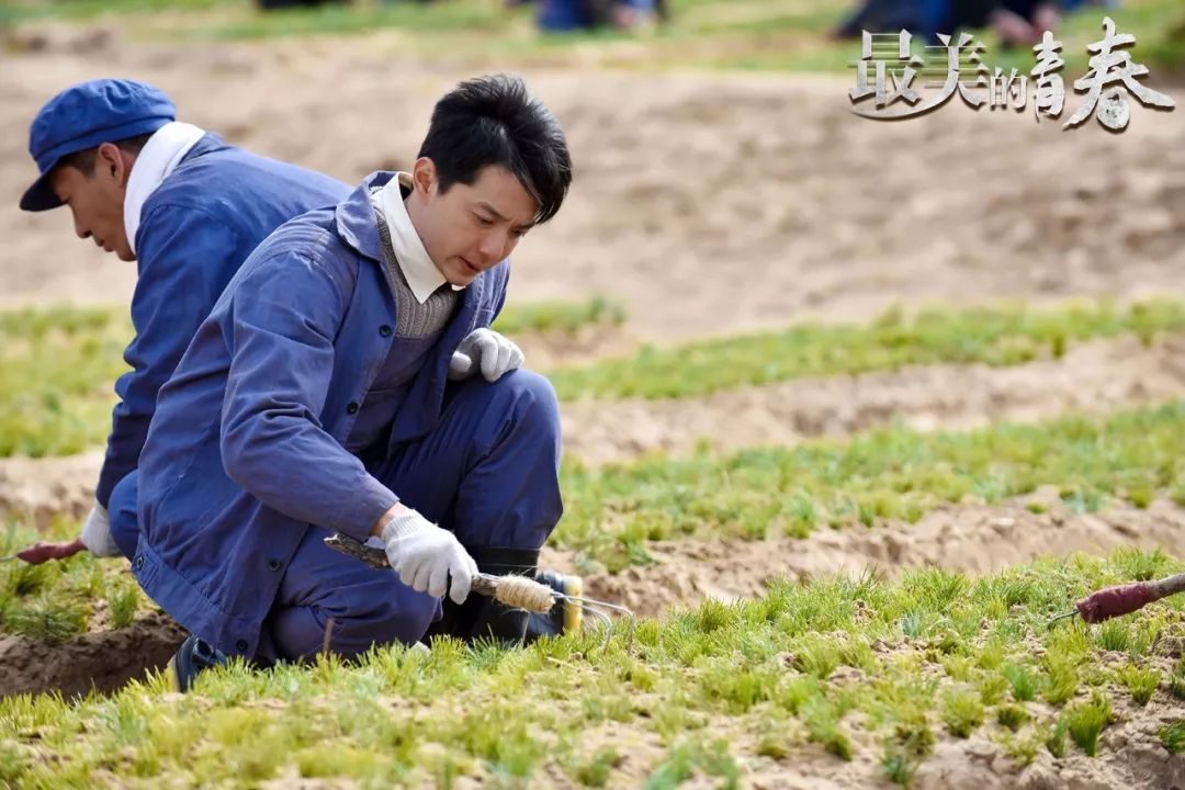 献礼改革开放40周年 《归去来》,《最美的青春》今日二轮播出