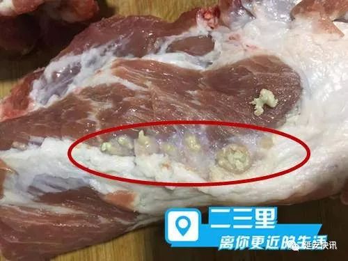 图片显示一整块猪肉中白色肉边缘看见些许白色脓包.