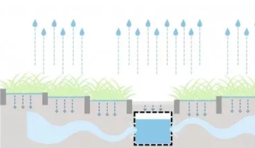 冲刷并储存利用雨水资源为了实现在减少灌溉的情况下维持园区密集绿化