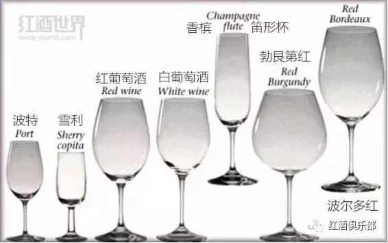 白葡萄酒杯与红葡萄酒杯的关键差别,并不在尺寸