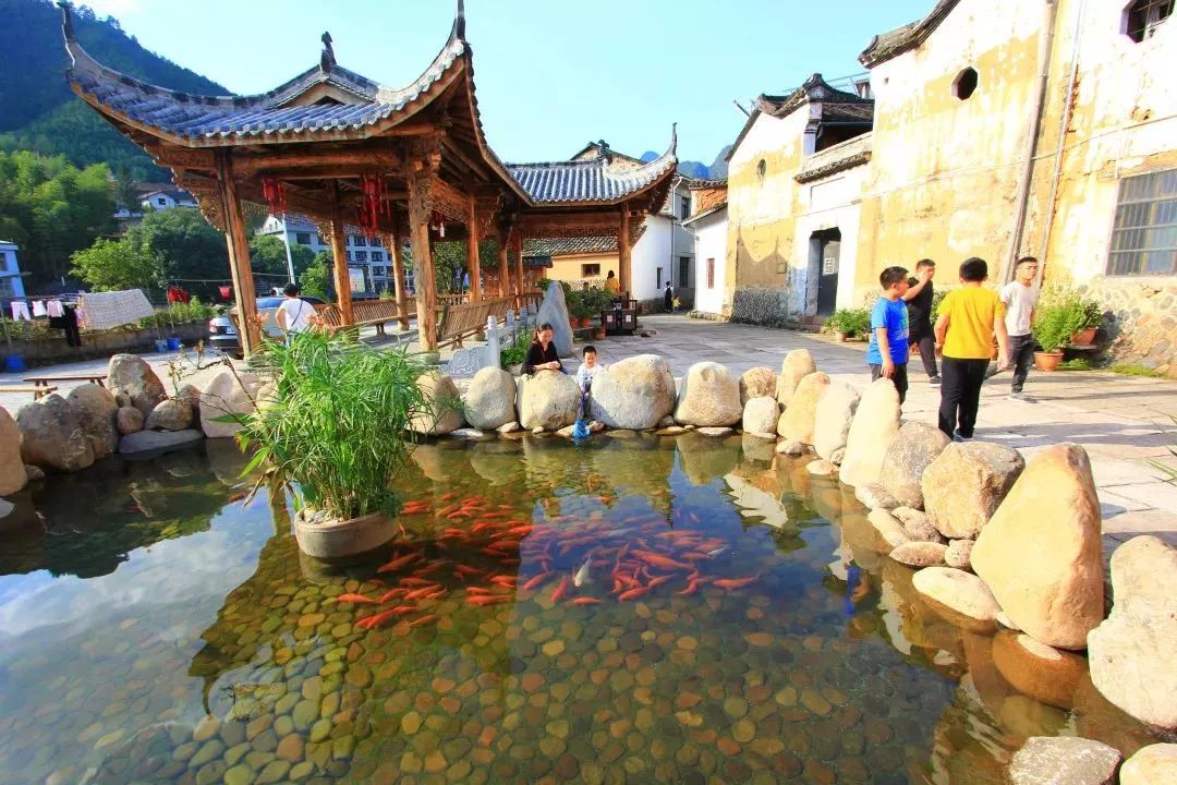 又要火了!龙泉这个景区上榜浙江省红色旅游重要景区景点名录!