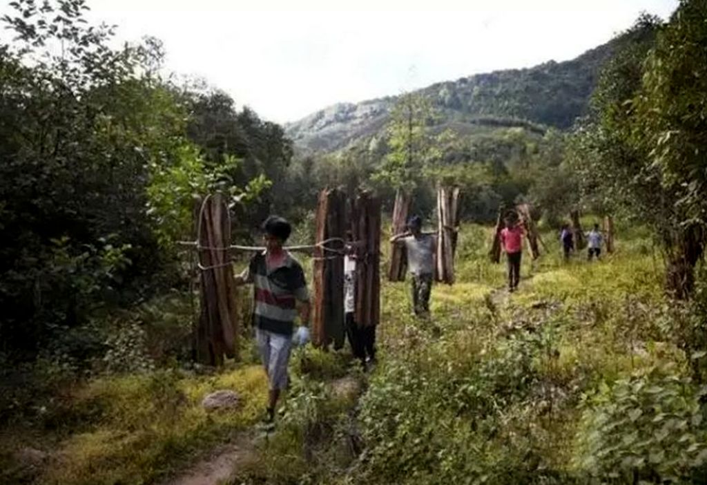 南江县有多少人口_贵州南江大峡谷景区