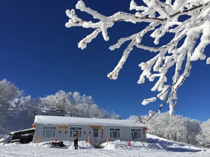 雪乡旅游攻略,满满的干货,吃住行,线路安排,全部搞定!