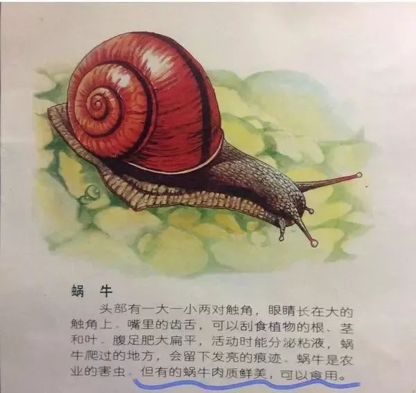 为什么吉林gdp慢_看看哪些地区的经济高度依赖房地产 你的家乡上榜没(3)