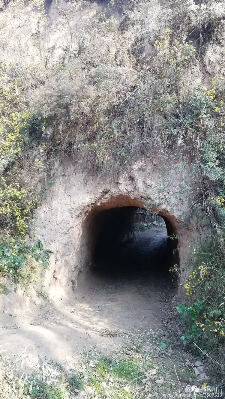 陵川山里有村庄六泉拱山底村