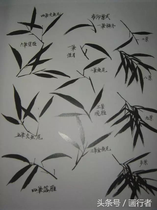 国画水墨画竹子的各种入门技法画法步骤图文详解_竹叶