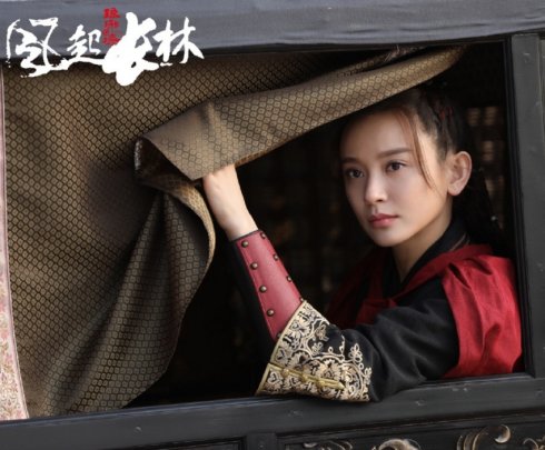 《武媚娘》演王皇后成名，兩次搭檔趙麗穎，《將夜》跟黎明扮夫妻 娛樂 第9張