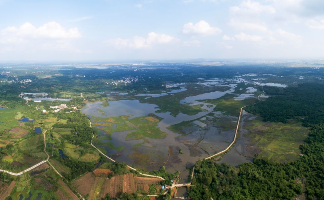 城市更新羊山湿地展画卷山清水秀美名传