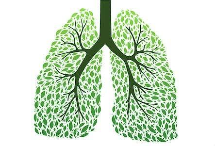冬季養肺、護肺很重要，飲食怎麼吃？ 健康 第2張