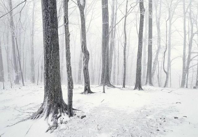 听见江宁丨雾霾结束,本周末江宁迎今冬第一场雪