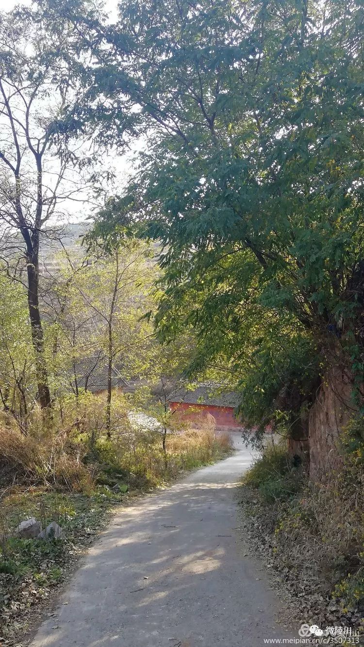 陵川山里有村庄六泉拱山底村