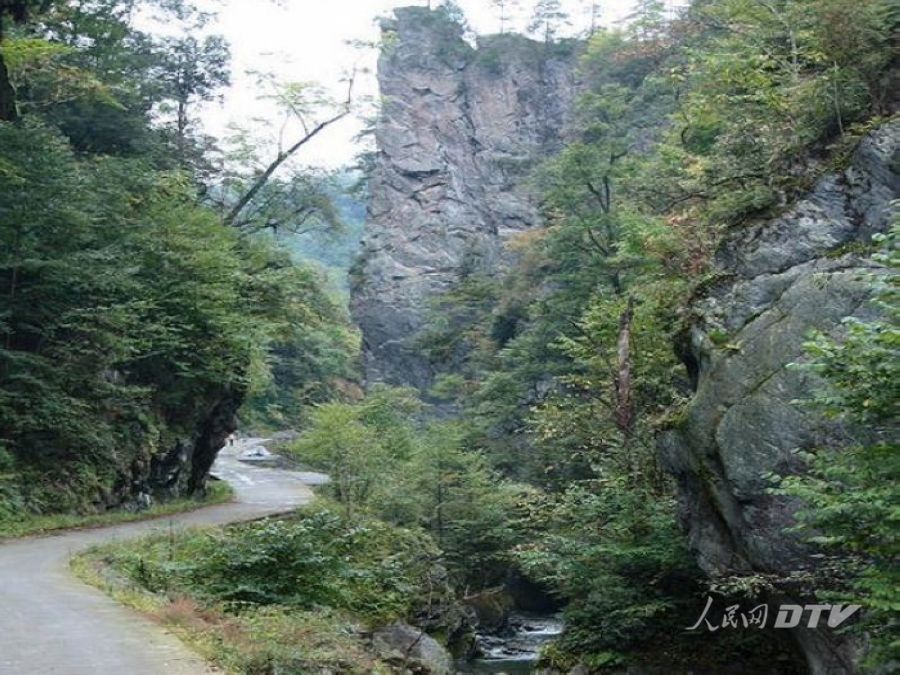 安康平利广佛镇闹阳坪村:产业扶贫圆贫困户致富梦-人民网