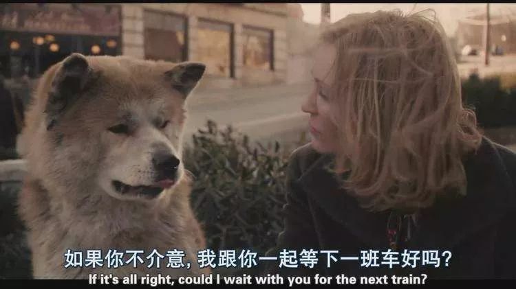 这就是电影 《忠犬八公的故事》