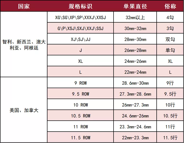 最实用的车厘子科普,抓紧年末最后一波赚钱的机会!