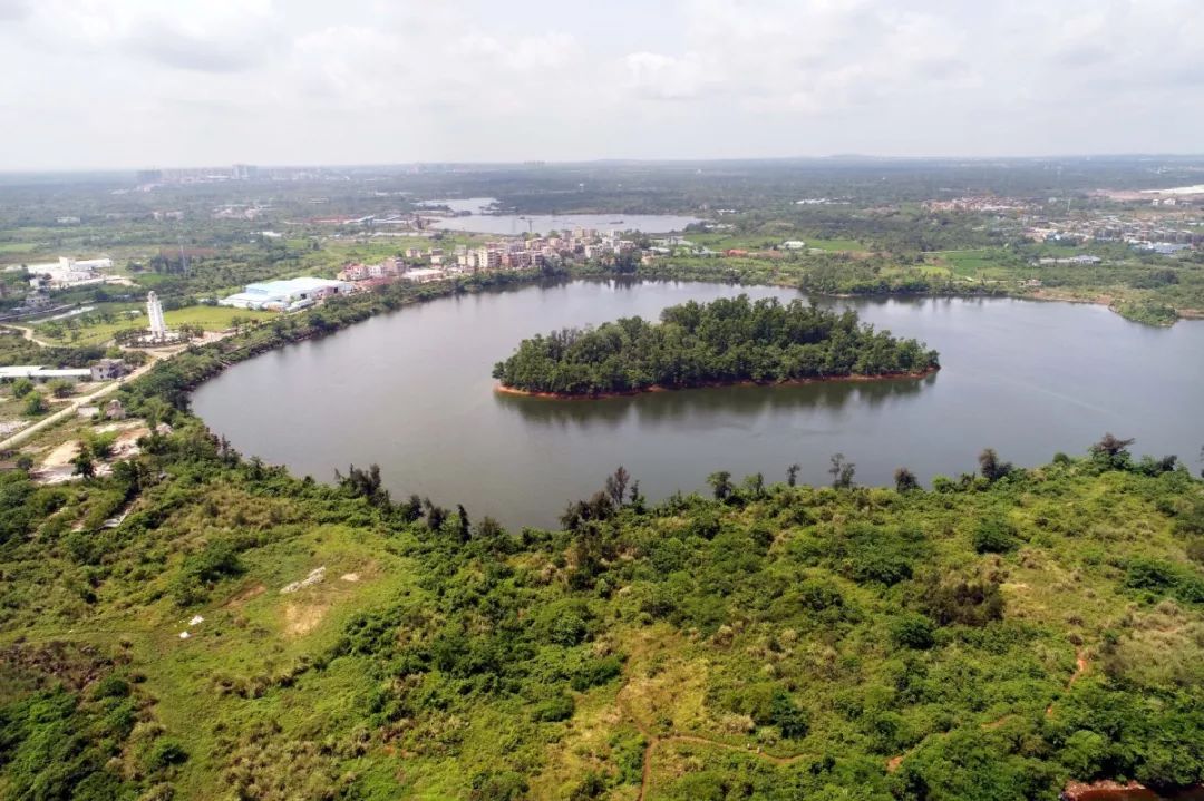 羊山湿地旖旎风光海口上演城市与自然和谐之美