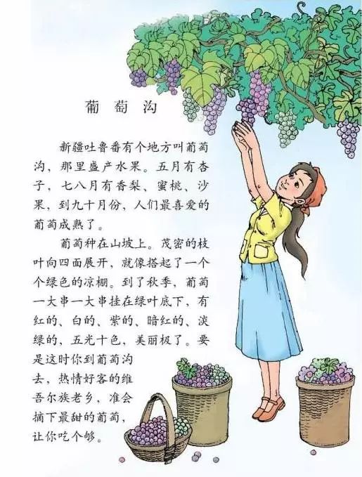 《葡萄沟》是一篇充满浓郁风土人情的游记式文章,课文"以葡萄沟真是