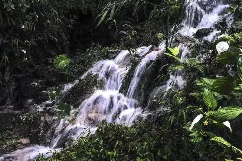 问渠哪得清如许,为有源头活水来!