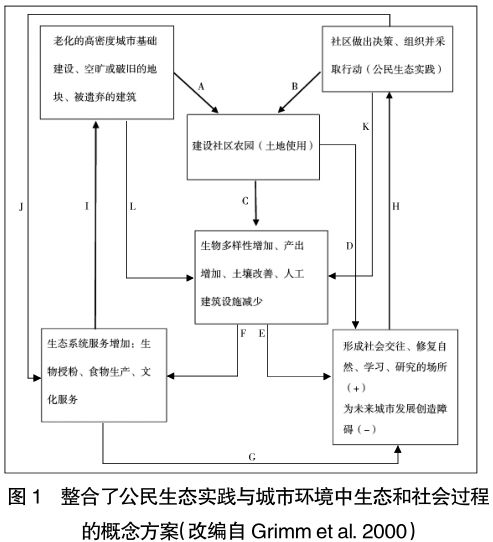 2000)的概念模型可以用来解释公民生态实践(如社区林业)在城市社会