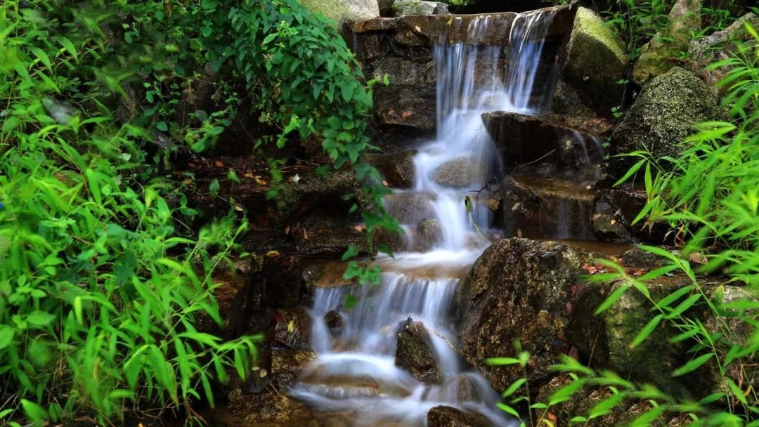 还有烟雨岩瀑布高约100米,是川南山地高瀑之一.