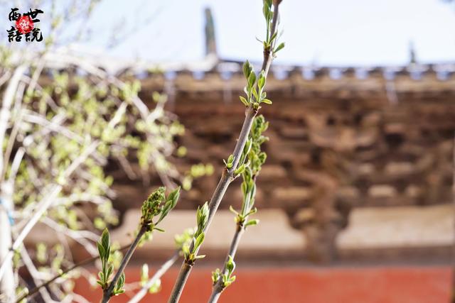 第一古建国宝佛光寺发现始末：梁思成林徽因曾骑驴寻找