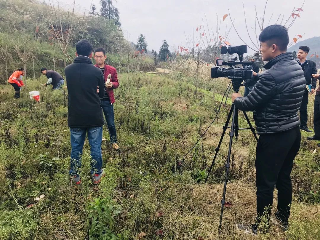 记者赴冬荪基地实地采访