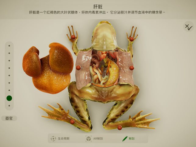 用 froggipedia 查看青蛙解剖图 另外,利用大屏幕的特性和强大的性能