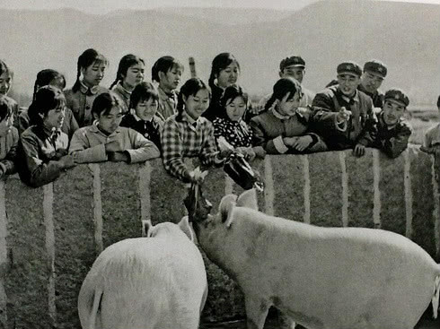 历史镜头:1970年的中国社会风貌老照片