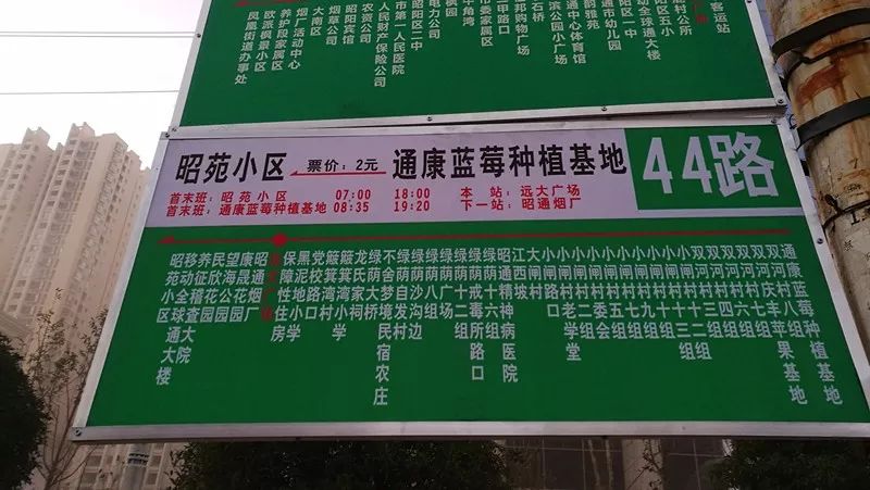 线路(44路),从昭苑小区开往通康蓝莓种植基地: 1路 (22辆公交车运营