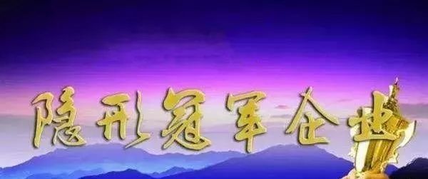 【快讯】2018年山东省中小企业隐形冠军企业名单公示