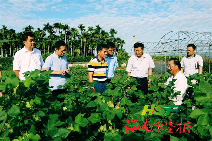 图为张延秋(右三)一行看望正在基地进行科研工作的抗虫棉专家郭三堆