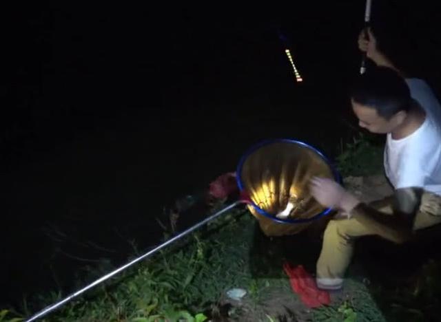 夜间钓鱼视野虽不好但会有意外的收获就像小伙钓到大鱼一样
