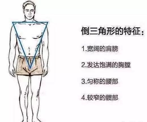 这个就是今天的重头戏了,倒三角一听就知道这个是最吃香的体型.