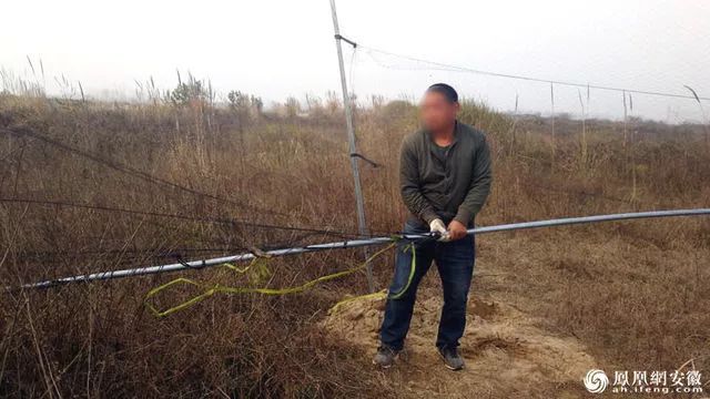 宣城某地一河岸惊现捕鸟神器